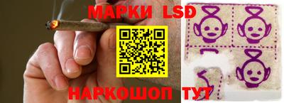 шишки Дубна