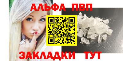 шишки Дубна