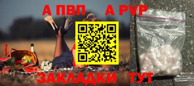 шишки Дубна