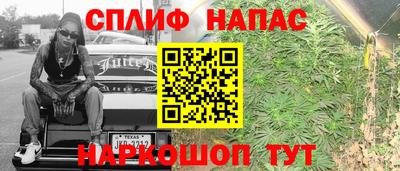 шишки Дубна