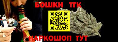 шишки Дубна