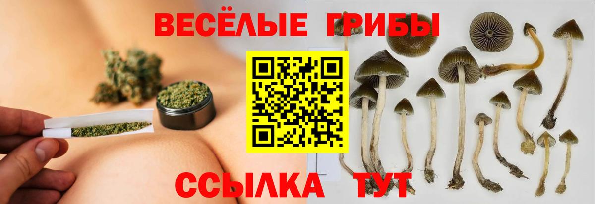 Галлюциногенные грибы ЛСД  Вход с VPN  Нижнеудинск 